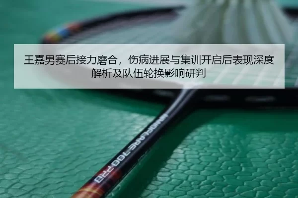 wang-jia-nan-sai-hou-jie-li-mo-he-shang-bing-jin-zhan-yu-ji-xun-kai-qi-hou-biao-xian-shen-du-jie-xi-ji-dui-wu-lun-huan-2-647.jpg
